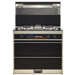 集成灶優(yōu)缺點(diǎn) 四川價(jià)格合理的集成灶出售