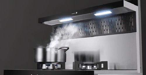 集成灶大講堂 蒸烤一體集成灶怎么選 讓大師級(jí)的火星人告訴你